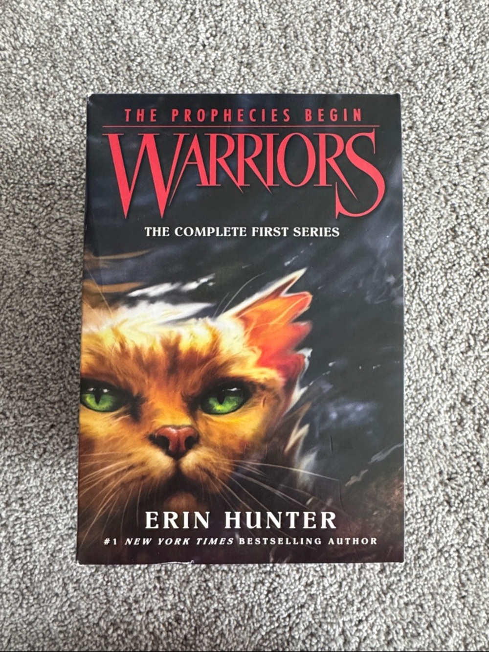 Warriors Book Set